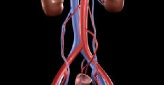 Infectiile urinare netratate ne distrug rinichii!