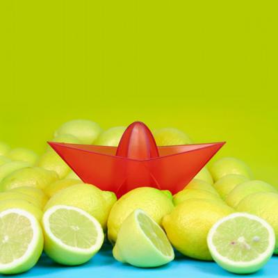 10 lucruri pe care trebuie sa le stii despre lamai