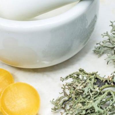 Muschiul islandez, planta legendara care calmeaza gatul iritat 