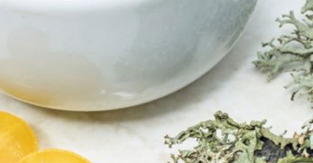 Muschiul islandez, planta legendara care calmeaza gatul iritat 