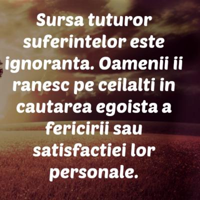 10 Obiceiuri negative care te golesc de energie si cum sa renunti la ele