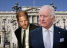 Ruptură definitivă la Casa Regală? De ce nu mai vorbesc Regele Charles și Prințul Harry