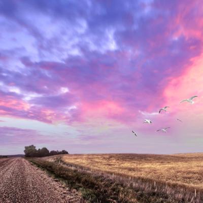 5 mesaje de suflet de la Chris Simion