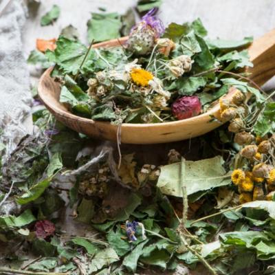 Plantele, remediu cu reguli