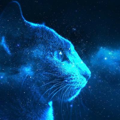 4 Lecții spirituale pe care le învățăm de la pisici