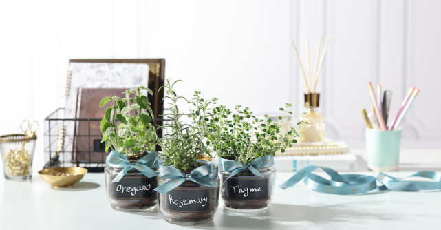 Fall in scrubs - frumoasă din cap până-n picioare cu exfoliantele SABON