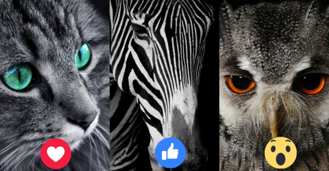 Alege o imagine și află de ce duce lipsă sufletul tău 