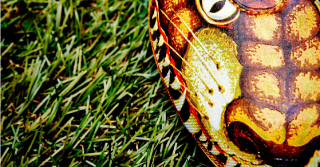 Fashion alert: Cele mai interesante noutati din moda