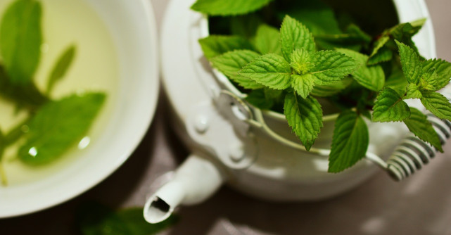 17 Beneficii miraculoase ale consumului de menta