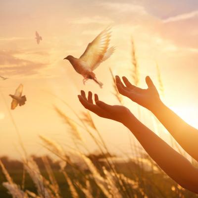 Citate despre iertare: Numai cei curajoși știu să ierte