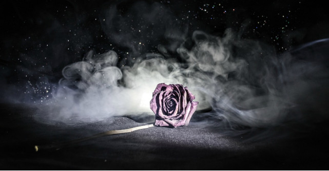 Relatiile nu esueaza, relatiile ne transforma