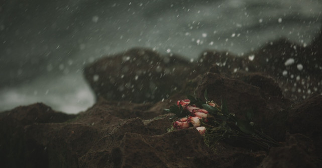 Citate despre dezamagire in dragoste: 	Opusul dragostei nu este ura, ci indiferenta