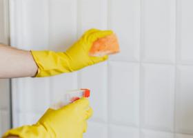 Cum scapi de mucegai și cum previi apariția acestuia?