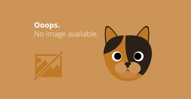 Ciupercile nemuririi - leacuri vii cu ciuperci medicinale