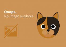 10 Semne ca ti-ai gasit sufletul pereche