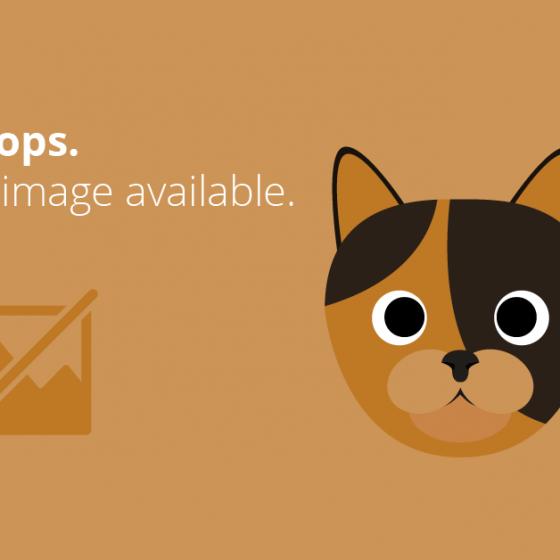 Parfumuri potrivite la nuntă: ce arome să porți când ești mireasă