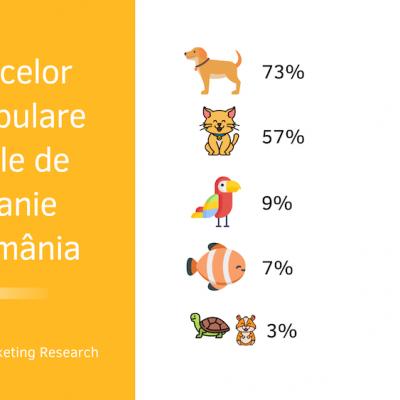 Pandemia ne-a apropiat de animăluțe! 2 din 10 români și-au cumpărat un animal de companie în starea de urgență 