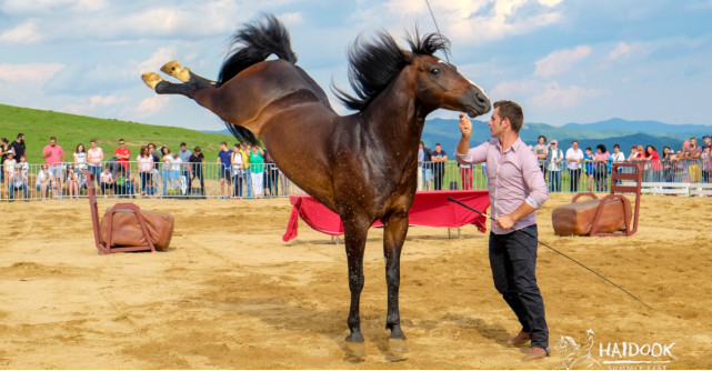  Un festival despre haiduci și cai
