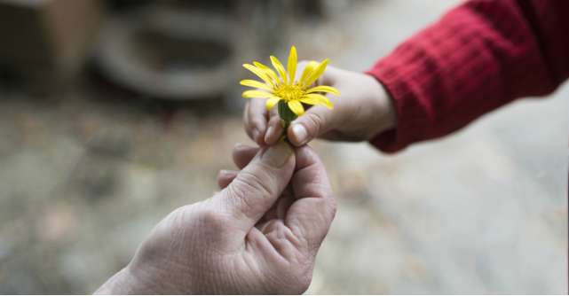 Citate despre bunătate: Nu recunosc alt semn al superiorității decât bunătatea