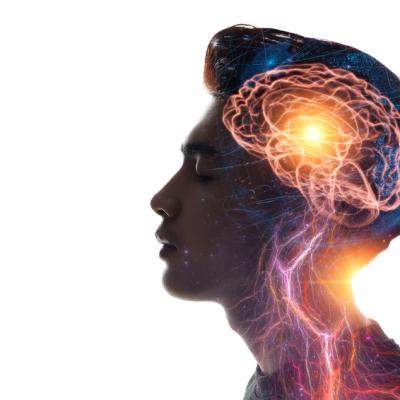 Bazarul memoriei, o investigație fascinantă a modului cum se formează amintirile și cum ne construiesc ele pe noi