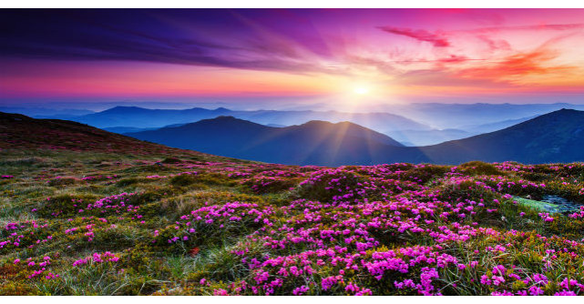 Romania in haine de primavara: Un anotimp al frumusetii