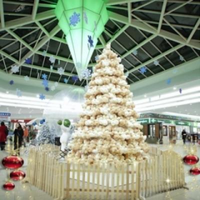 Primii brazi de ursuleti de plus in premiera in Romania