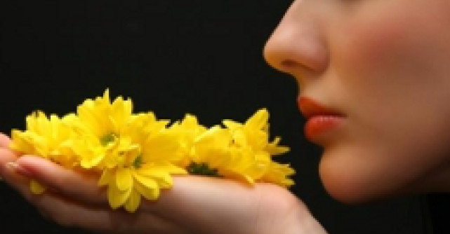 Meditatie si armonie prin Feng Shui