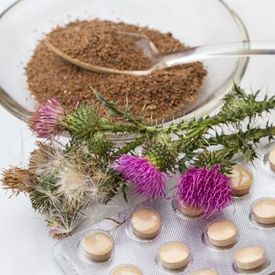 Silimarina: una dintre cele mai utilizate plante medicinale din lume, cu beneficii multiple pentru sanatate