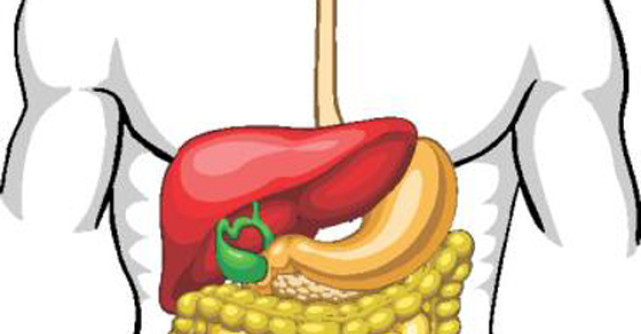 Tratamente Naturiste pentru REGENERAREA FICATULUI