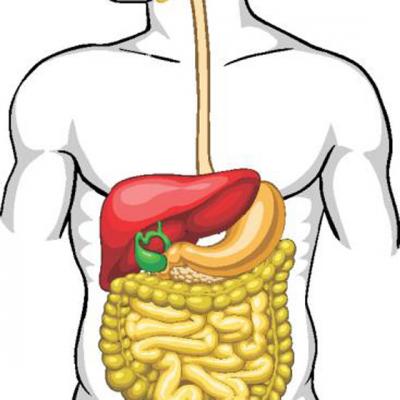 Tratamente Naturiste pentru REGENERAREA FICATULUI