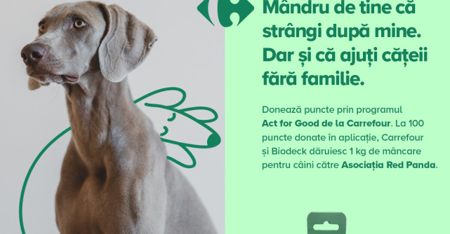 Mândru de tine că strângi după mine. Și că ajuți cățeii fără familie