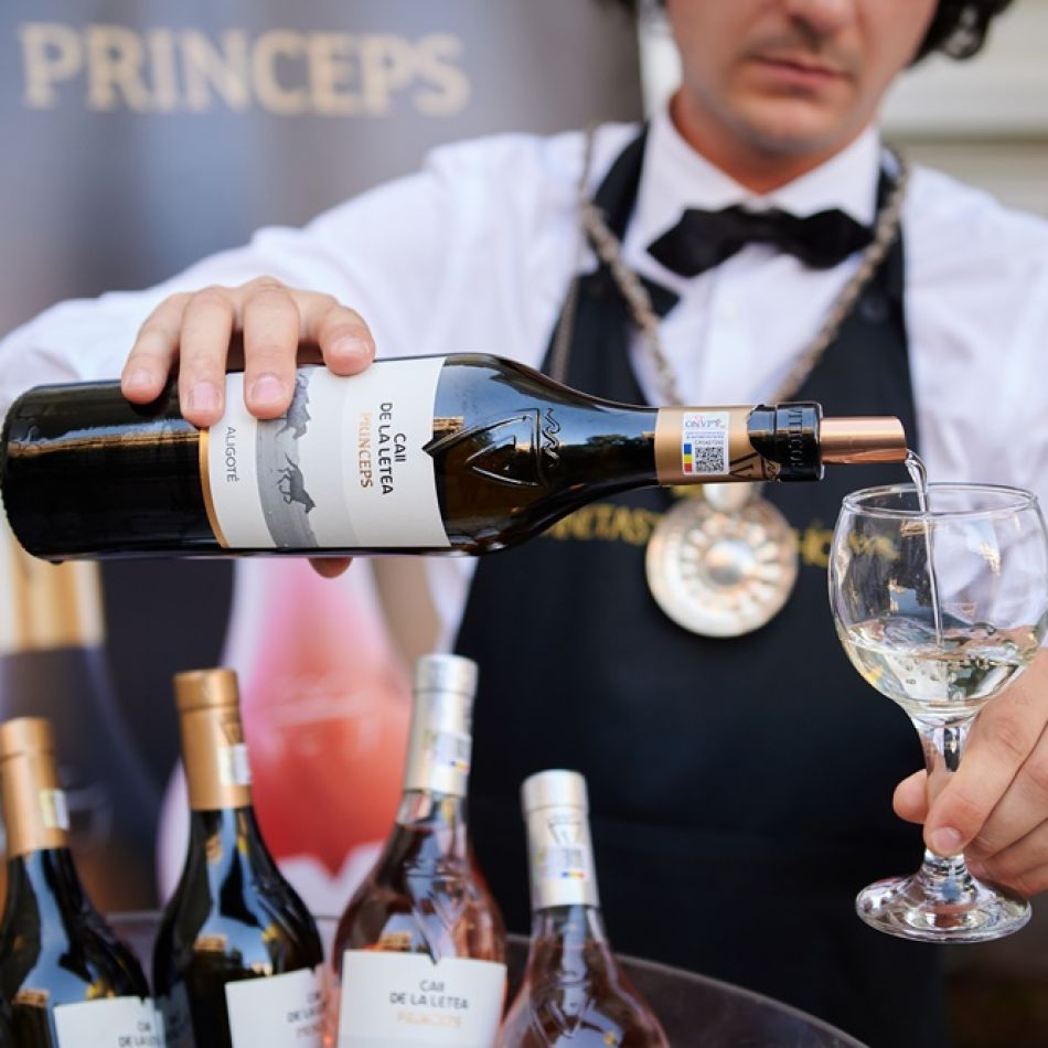 Gala Kudika Good Vibe Awards: Evenimentul începutului de toamnă a premiat ideile care schimbă lumea