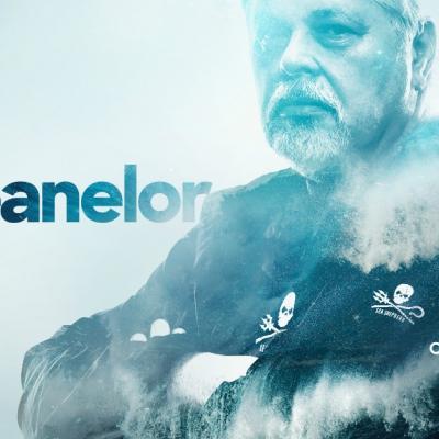 Discovery celebrează Ziua Mondială a Oceanelor cu trei documentare speciale noi