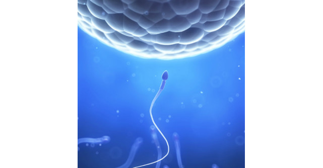 13 Metode contraceptive antice si bizare