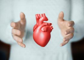 Colesterol mărit? Ce ar trebui să știi despre colesterolul bun, colesterolul rău, trigliceride și dieta care scade colesterolul