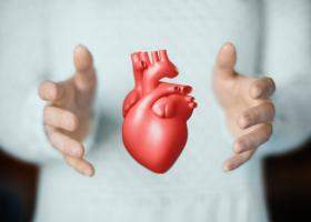 Colesterol mărit? Ce ar trebui să știi despre colesterolul bun, colesterolul rău, trigliceride și dieta care scade colesterolul