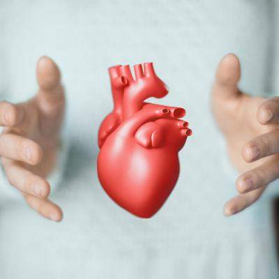 Colesterol rău sau colesterol bun? Ce înseamnă HDL și LDL pe înțelesul tuturor si care e dieta ce ține în frâu colesterolul