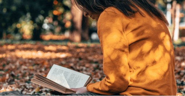 Black Friday 2018 la cărți: Libris anunță reduceri de 97%