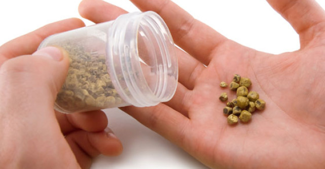 Pietre la RINICHI? Remedii din plante medicinale care dizolva calculii renali