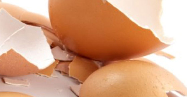 COJILE DE OUA: Dupa ce vei vedea cate beneficii au, nu le vei mai arunca niciodata!