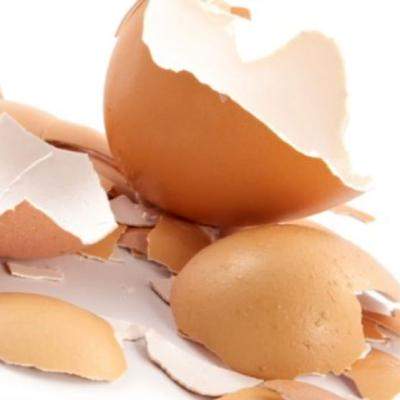 COJILE DE OUA: Dupa ce vei vedea cate beneficii au, nu le vei mai arunca niciodata!