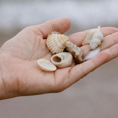 Alegerile noastre nu sunt niciodată un sfârșit, ci un portal deschis spre noi oportunități 