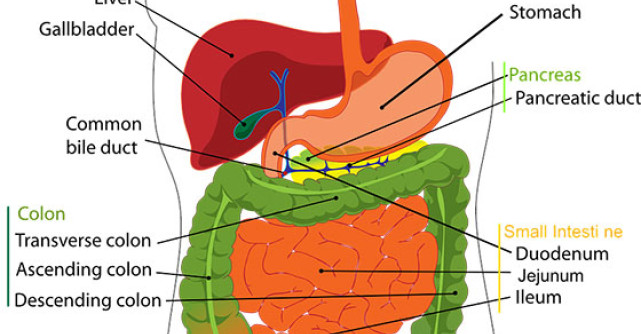 5 CELE MAI BUNE suplimente pentru DETOXIFIEREA colonului