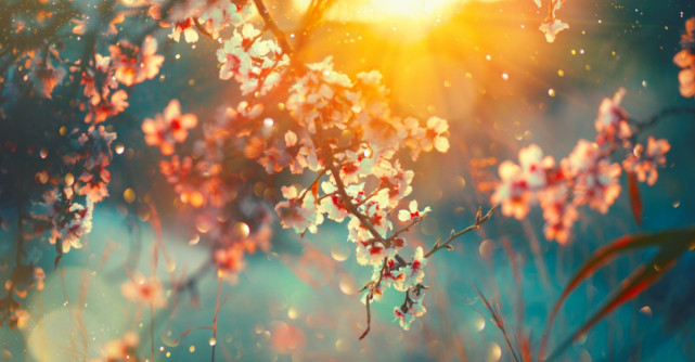 UȘURINȚĂ și ABUNDENȚĂ, cuvintele cheie pentru săptămâna 10-16 FEBRUARIE 2020