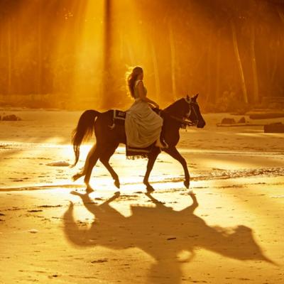 Quiz: Ce iti aduce 2014?