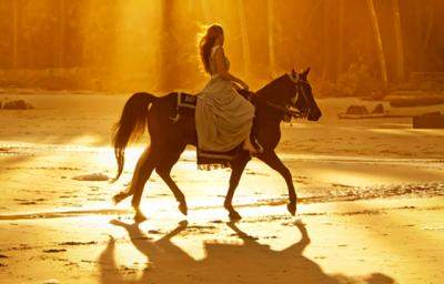 Quiz: Ce iti aduce 2014?