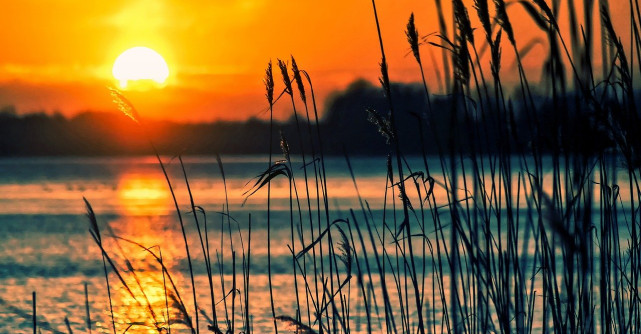 Cartea 'Acolo unde cântă racii' urmează sa fie ecranizată