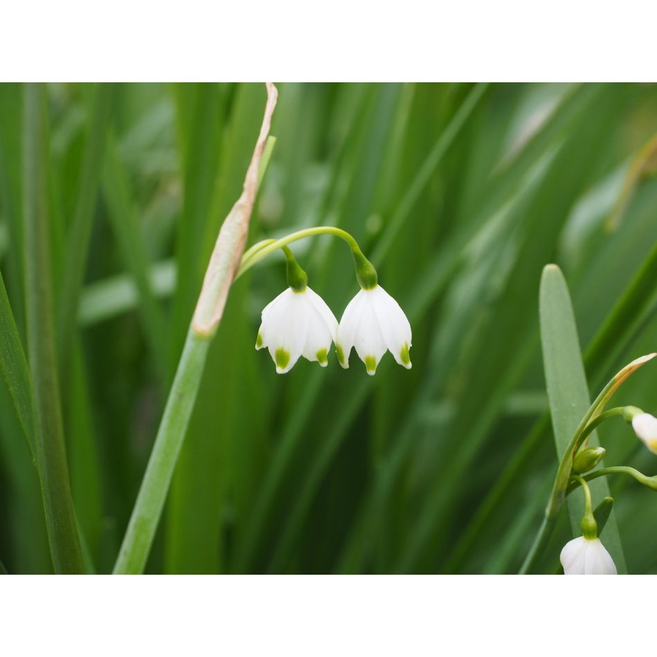  Despre existenta noastra