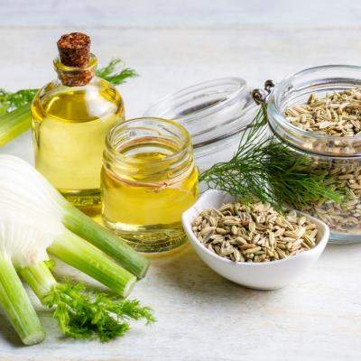 Fenicul: beneficii, proprietăți. Ceai de fenicul: toate secretele pe care trebuie să le știi despre această plantă-minune