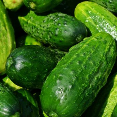 10 alimente cu aproape nicio calorie. Nu trebuie sa-ti lipseasca de la masa